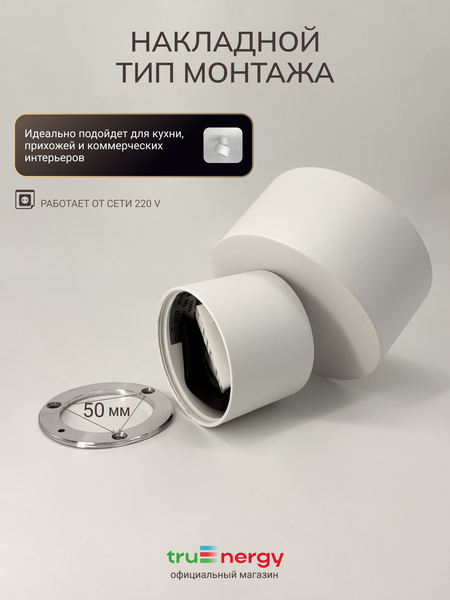 Изображение товара Спот Truenergy 11511