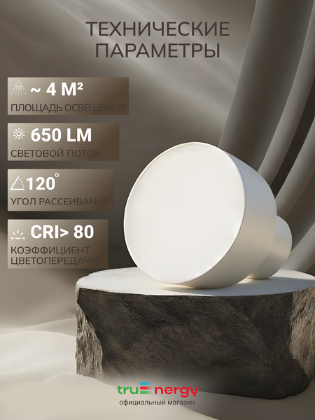 Изображение товара Спот Truenergy 11511