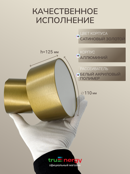 Изображение товара Спот Truenergy 11512