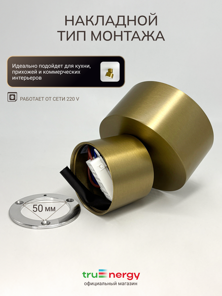 Изображение товара Спот Truenergy 11512