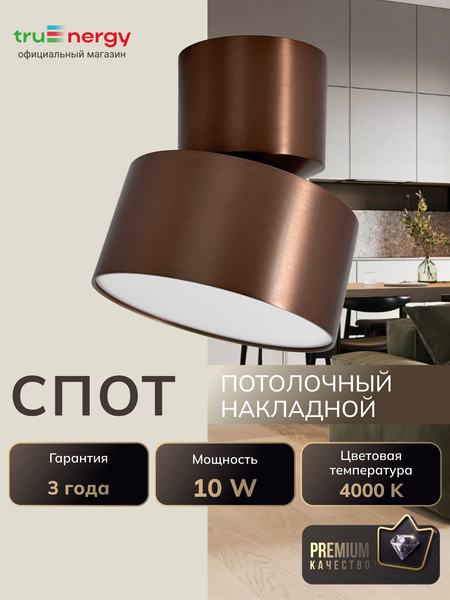 Изображение товара Спот Truenergy 11513
