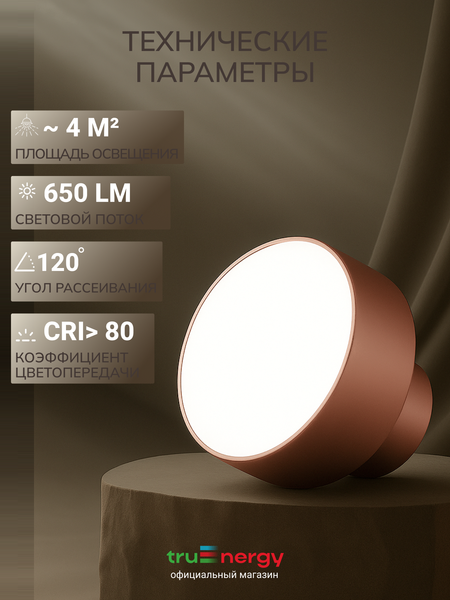 Изображение товара Спот Truenergy 11513