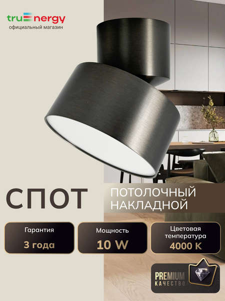 Изображение товара Спот Truenergy 11514