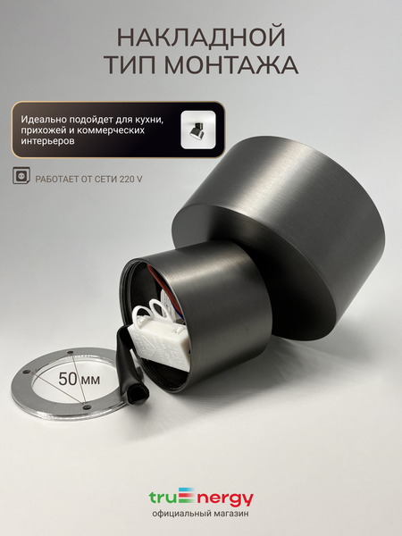 Изображение товара Спот Truenergy 11514