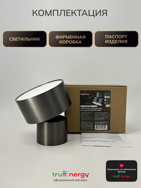Изображение товара Спот Truenergy 11514