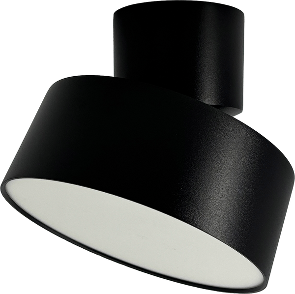 Изображение товара Спот Truenergy 11515