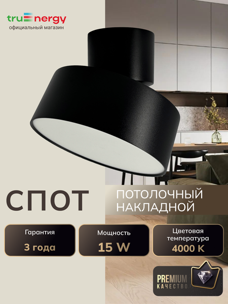 Изображение товара Спот Truenergy 11515