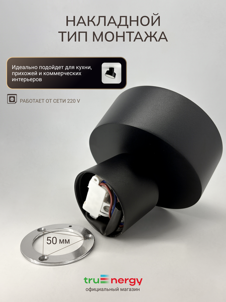 Изображение товара Спот Truenergy 11515