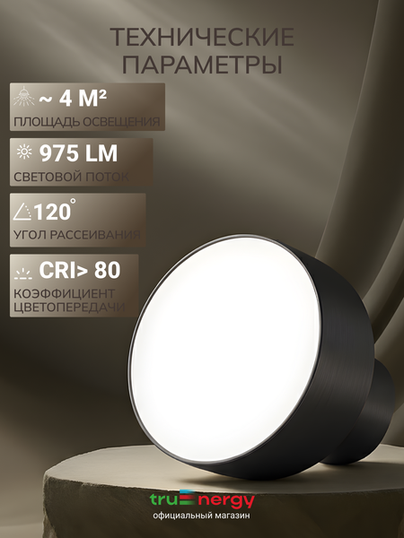 Изображение товара Спот Truenergy 11515