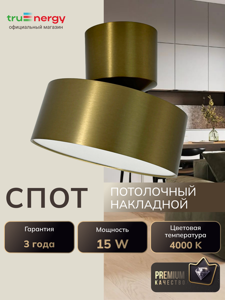 Изображение товара Спот Truenergy 11517