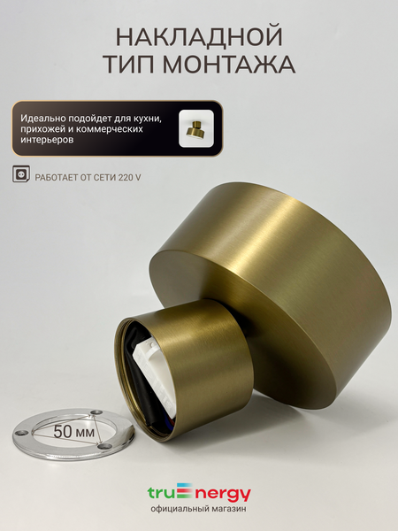 Изображение товара Спот Truenergy 11517