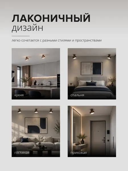 Изображение товара Спот Truenergy 11518