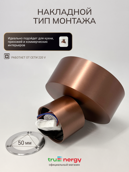 Изображение товара Спот Truenergy 11518