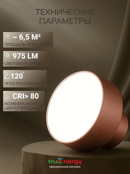 Изображение товара Спот Truenergy 11518