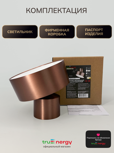 Изображение товара Спот Truenergy 11518