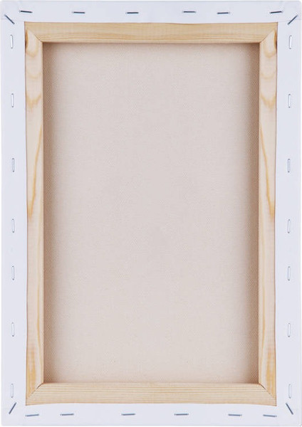 Изображение товара Холст для рисования ГАММА Студия 25x35см / 301020205 (хлопок)