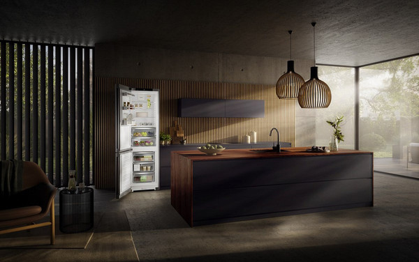 Изображение товара Холодильник с морозильником Liebherr CBNsfc 57vi