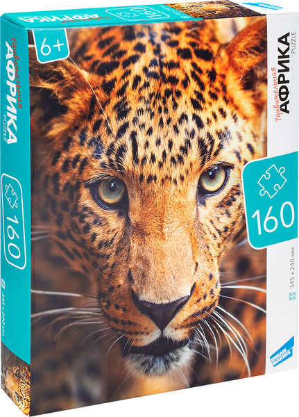 Изображение товара Пазл Dream Makers Африка / RI1602C