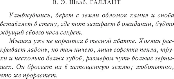Изображение товара Книга Эксмо Галлант, мягкая обложка (Шваб Виктория)