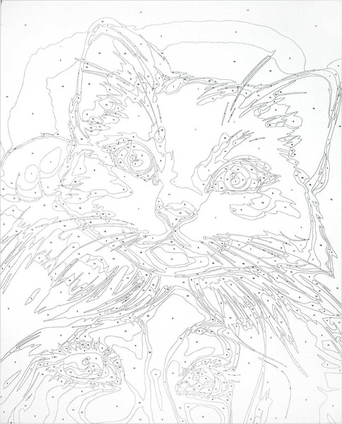 Изображение товара Картина по номерам Феникс+ Кошачьи нежности / 67953