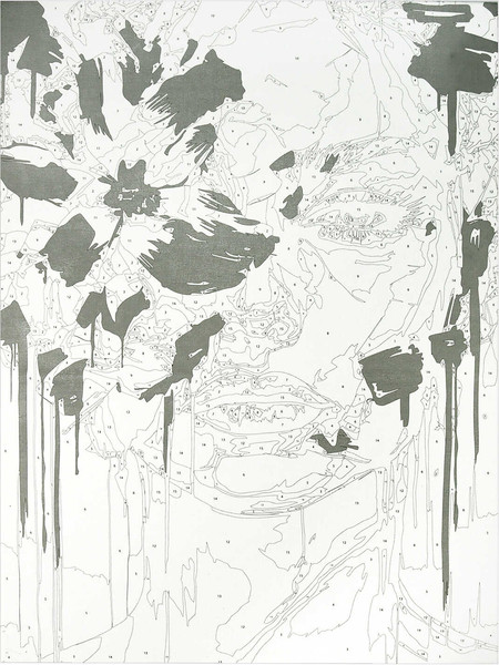 Изображение товара Картина по номерам Феникс+ Женственность / 67962