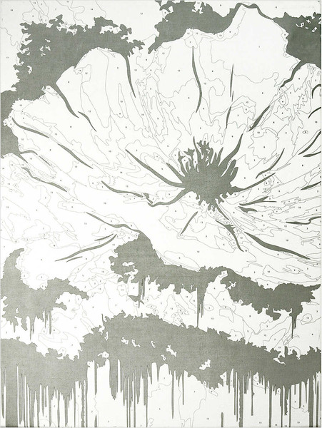 Изображение товара Картина по номерам Феникс+ Цветок / 67965