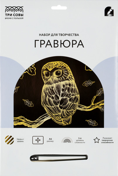 Изображение товара Гравюра Три совы Сова / GA4_49919