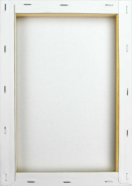 Изображение товара Картина по номерам Феникс+ Девушка с барсом / 67916