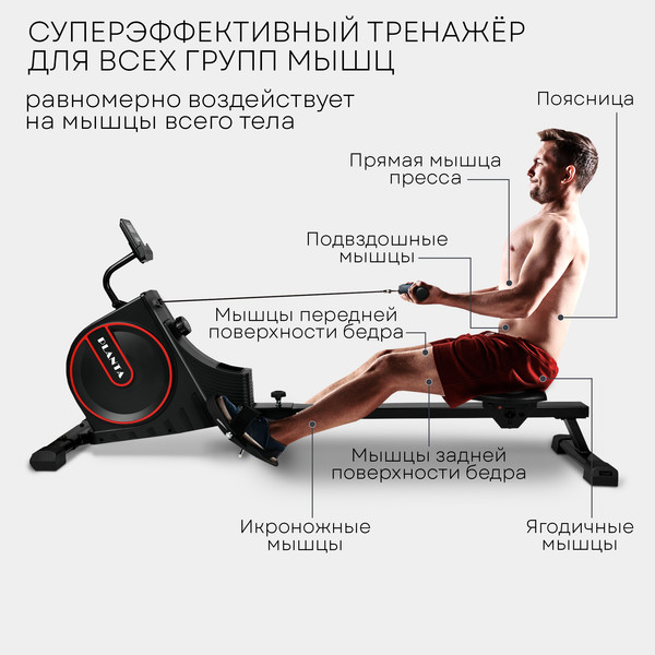 Изображение товара Гребной тренажер PLANTA FD-ROW500