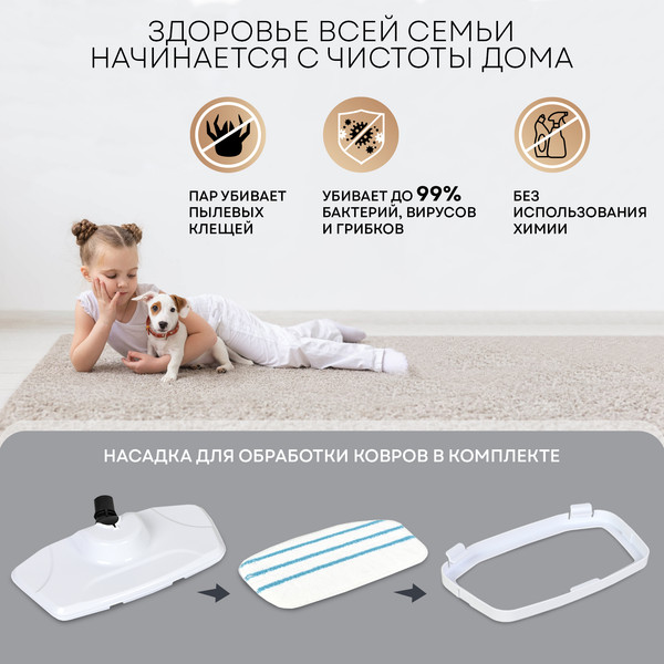 Изображение товара Пароочиститель PLANTA PL-SM03