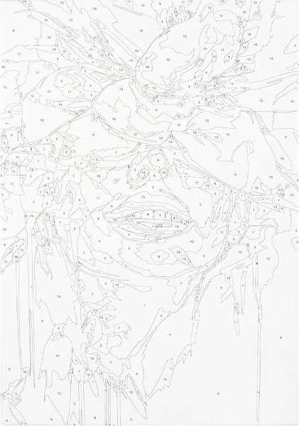 Изображение товара Картина по номерам Феникс+ Девушка-цветок / 67919