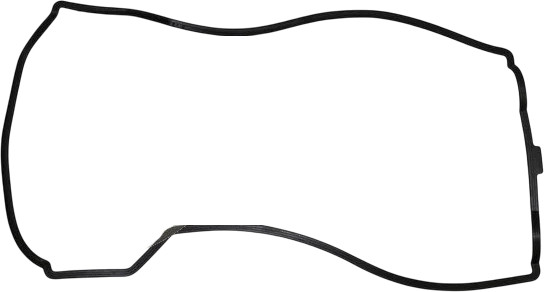 Изображение товара Прокладка двигателя Trucktec 0210045