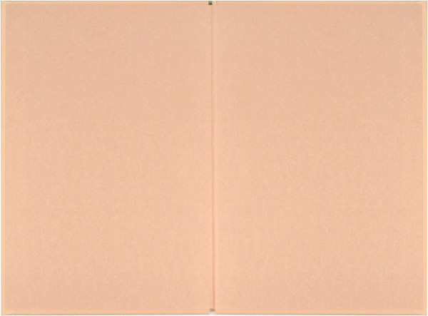 Изображение товара Ежедневник Феникс+ Удивляйся / 68034