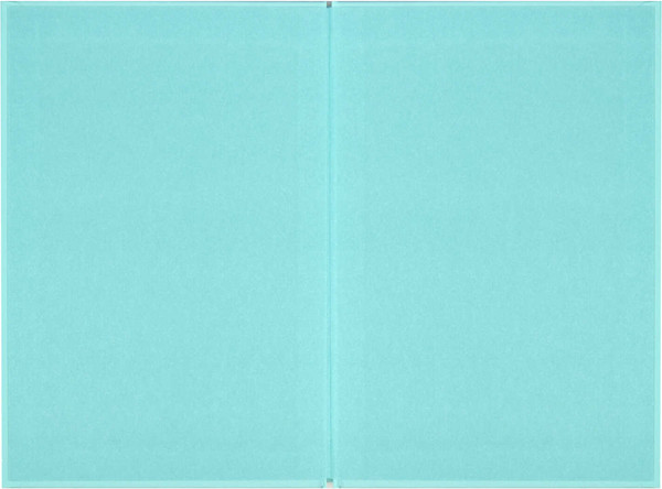 Изображение товара Ежедневник Феникс+ Ты - главный урок / 68035