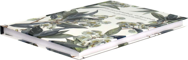 Изображение товара Записная книжка Феникс+ Эвкалипт / 69234