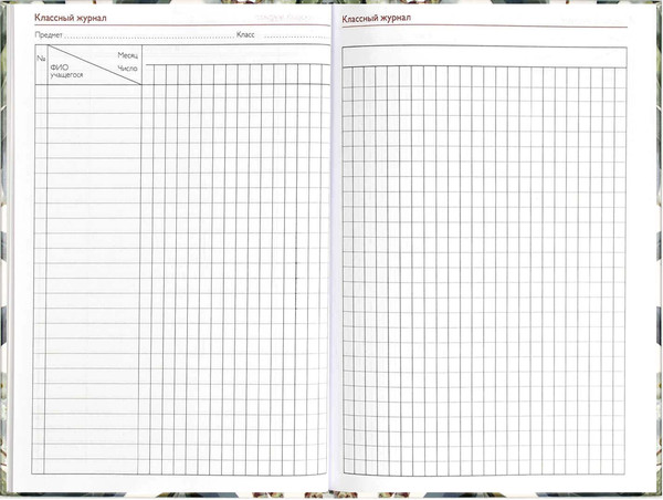 Изображение товара Записная книжка Феникс+ Эвкалипт / 69234