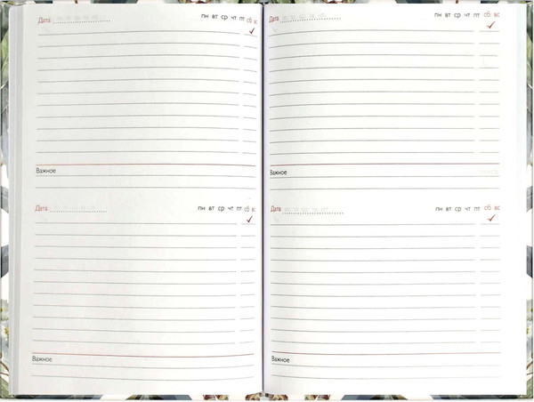 Изображение товара Записная книжка Феникс+ Эвкалипт / 69234