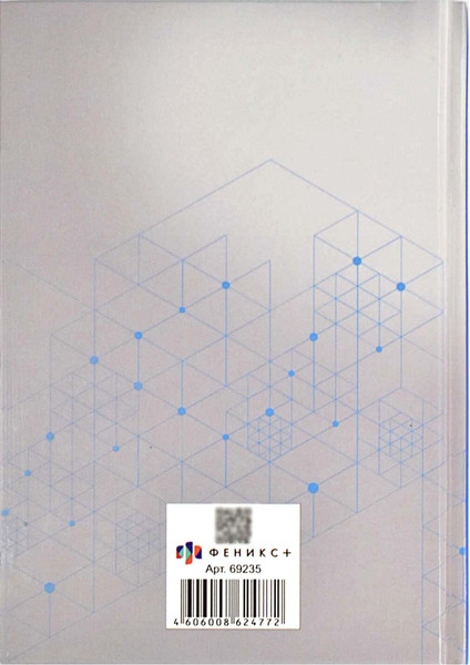 Изображение товара Записная книжка Феникс+ Серая символика / 69235