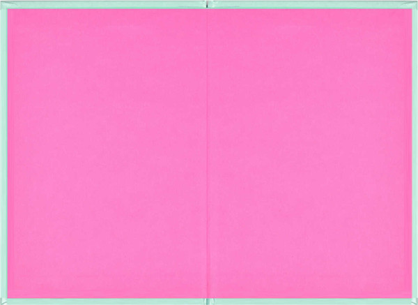 Изображение товара Записная книжка Феникс+ Влюбленный кот / 65931