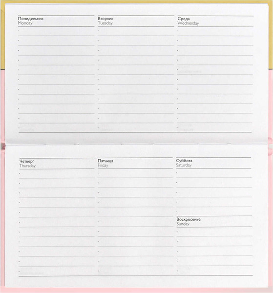 Изображение товара Еженедельник Феникс+ Кот-шкода / 68066