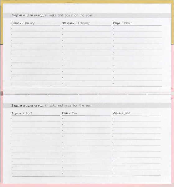 Изображение товара Еженедельник Феникс+ Кот-шкода / 68066