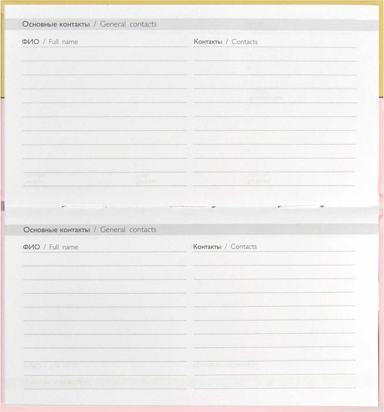 Изображение товара Еженедельник Феникс+ Кот-шкода / 68066