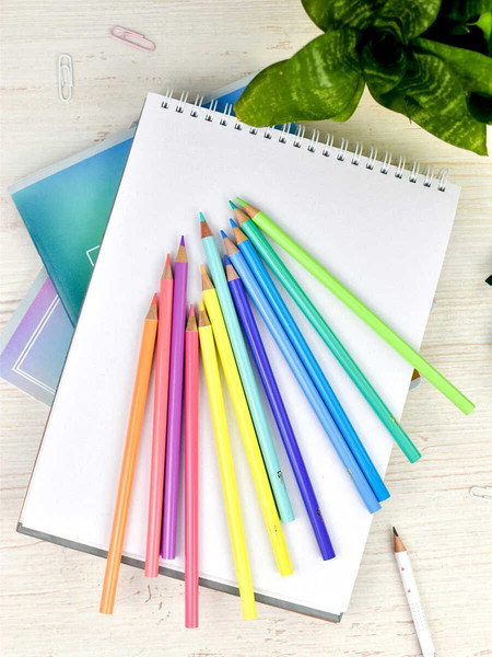 Изображение товара Набор цветных карандашей Феникс+ Пастель / 64101 (12цв)