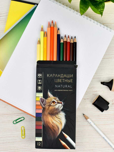 Изображение товара Набор цветных карандашей Феникс+ Натурель / 64103 (12цв)