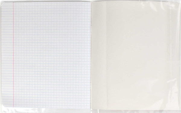 Изображение товара Обложка Феникс+ 38018/П (25шт)