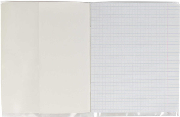 Изображение товара Обложка Феникс+ 38018/П (25шт)