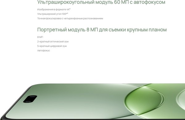 Изображение товара Смартфон Huawei Nova 13 Pro 12GB/512GB (дымчатый зеленый)