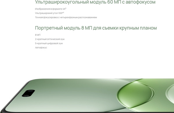 Изображение товара Смартфон Huawei Nova 13 Pro 12GB/512GB (черный)