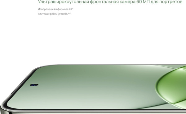 Изображение товара Смартфон Huawei Nova 13 12GB/512GB (дымчатый зеленый)