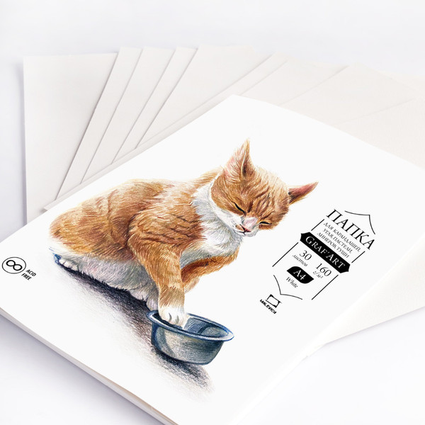 Изображение товара Набор бумаги для рисования Малевичъ GrafArt / 402319 (30л)